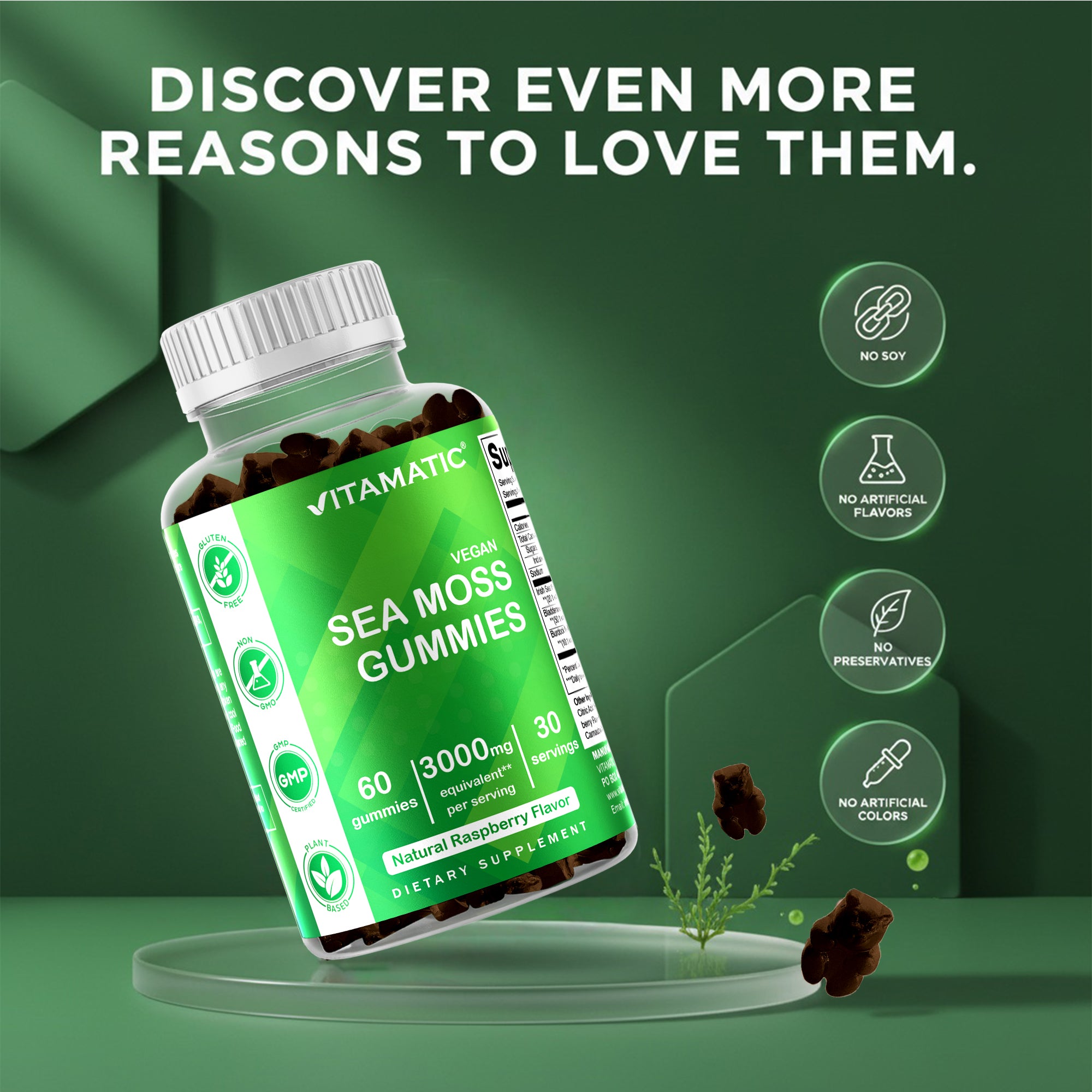 2 Pack  Irish Sea Moss Gummies - 3000 Mg - 60 Vegan Gummies - Made with Bladderwrack & Burdock Root - Seamoss Supplement for Thyroid, Energy, Immune Support