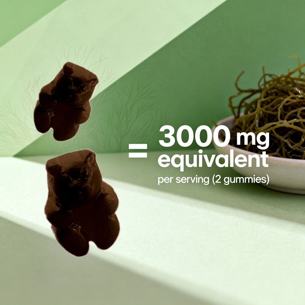 2 Pack  Irish Sea Moss Gummies - 3000 Mg - 60 Vegan Gummies - Made with Bladderwrack & Burdock Root - Seamoss Supplement for Thyroid, Energy, Immune Support